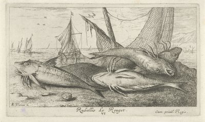 Fyra röda multar på stranden Rubellio Le Rouget. (titel på objekt) Fiskar och andra havsdjur - saltvattens andra serie (serietitel) Poissons de mer (serietitel) av Albert Flamen