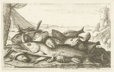 Eremitkräfta fiske Olika fiskarter (serietitel) Diverses Especes De Poissons tant de Mer, que d