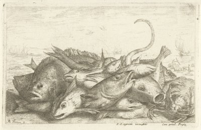 Krabbfiske Olika fiskarter (serietitel) Diverses Especes De Poissons tant de Mer, que d