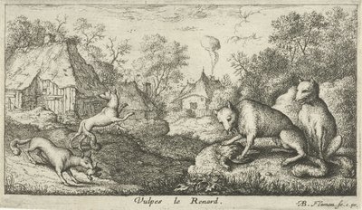 rävar Vulpes le Renard (titel på objekt) Olika djurarter (serietitel) av Albert Flamen