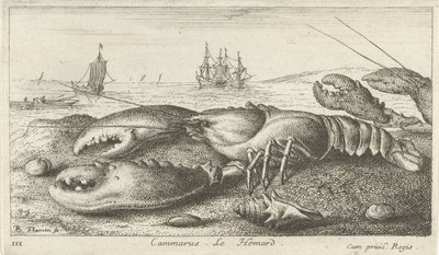 Hummer på stranden Cammarus. Le Homard (titel på objekt) Fiskar och andra havsdjur - saltvatten första serie (serietitel) Diverses Especes de Poissons de mer (serietitel) av Albert Flamen
