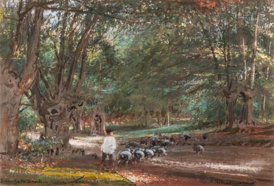 Burnham Beeches (akvarell och bodycolour) av Albert Goodwin