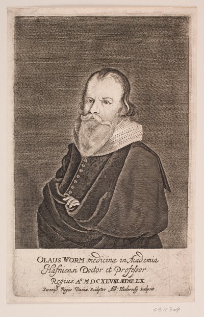 Ole Worm av Albert Haelwegh