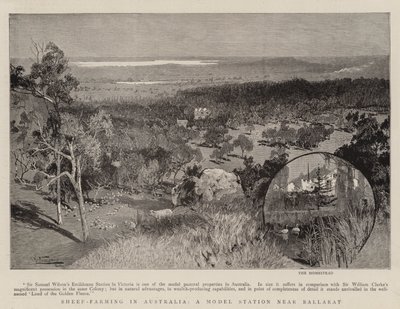Fåruppfödning i Australien, en modellstation nära Ballarat av Albert Henry Fullwood
