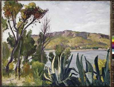 Landskap med agave. (olja på duk av Albert Marquet