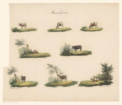 Kor i landskapet Macedoine (titel på objekt) av Albertus Verhoesen