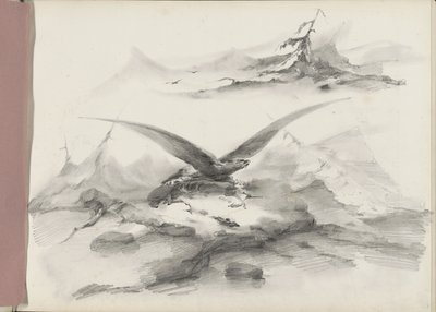 Örn som flyger över en kust med berg av Albertus van Beest