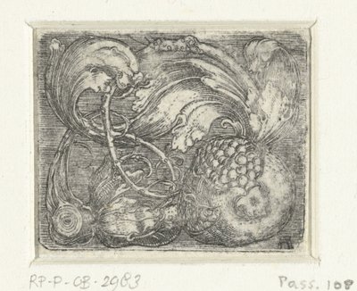 Granatäpple och lövrankor av Albrecht Altdorfer