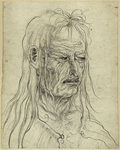 Huvudet på en ful gammal kvinna, åt höger av Albrecht Altdorfer