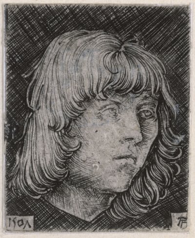 Huvud av en ung man av Albrecht Altdorfer