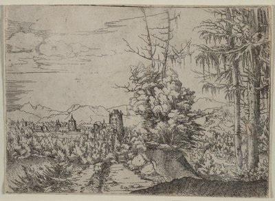 Landskap med två tallar, 1522-1525. av Albrecht Altdorfer