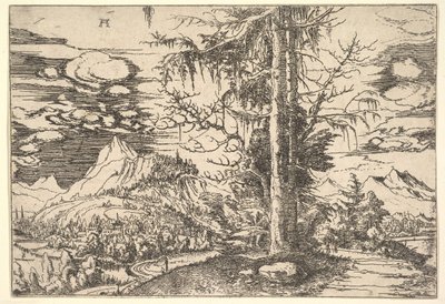 Landskap med dubbelgran, ca. 1521-22. av Albrecht Altdorfer