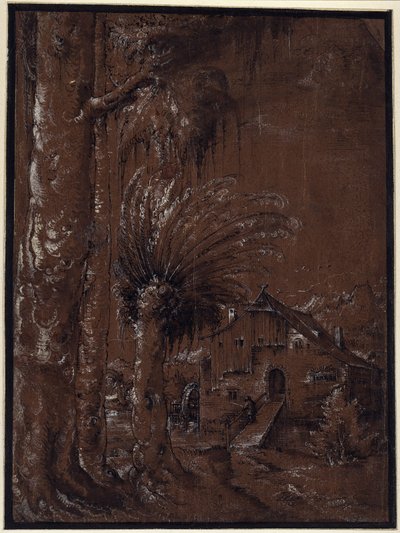 Landskap med vattenkvarn av Albrecht Altdorfer
