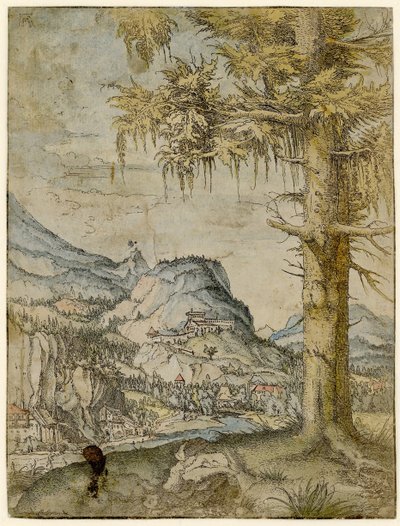 Stor gran, ca 1517-1520. av Albrecht Altdorfer