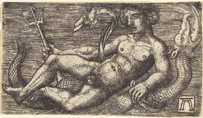 Neptunus på ett havsmonster av Albrecht Altdorfer