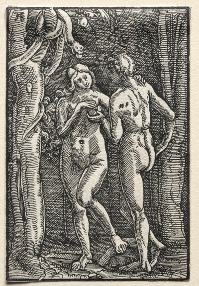 Människans fall och återlösning: Adam och Eva äter den förbjudna frukten, ca. 1515. av Albrecht Altdorfer