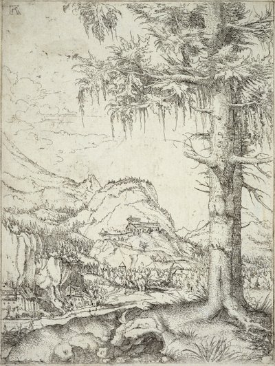 Den stora granen, c.1520 av Albrecht Altdorfer