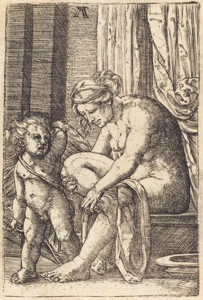 Venus efter badet av Albrecht Altdorfer