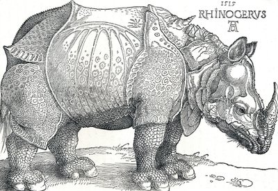 En noshörning, 1515, 1906 av Albrecht Dürer