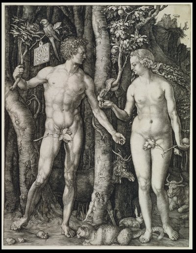 Adam och Eva (Människans fall) av Albrecht Dürer