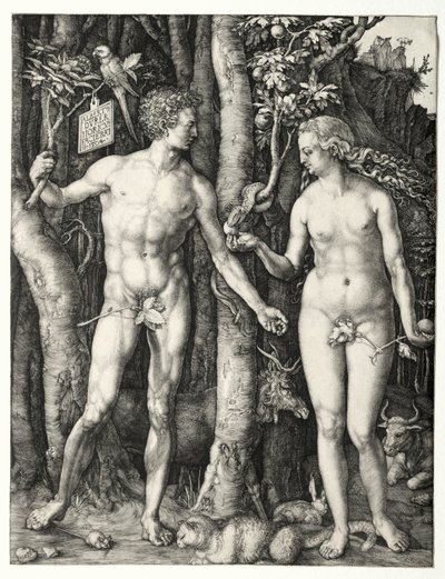 Adam och Eva av Albrecht Dürer