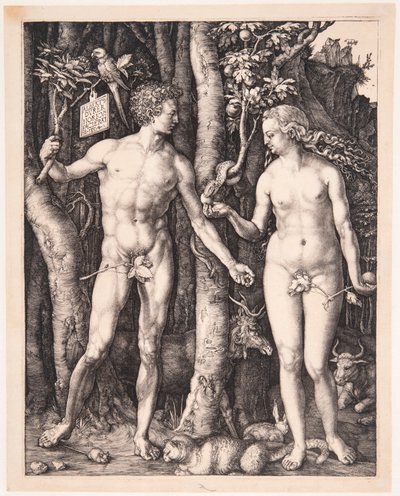  av Albrecht Dürer