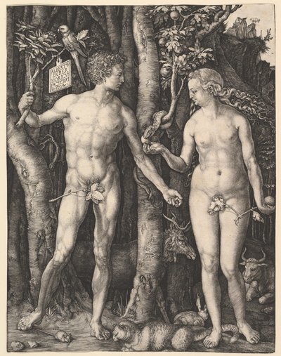  av Albrecht Dürer