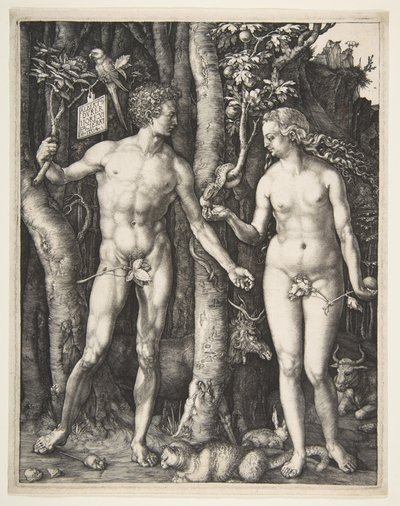  av Albrecht Dürer