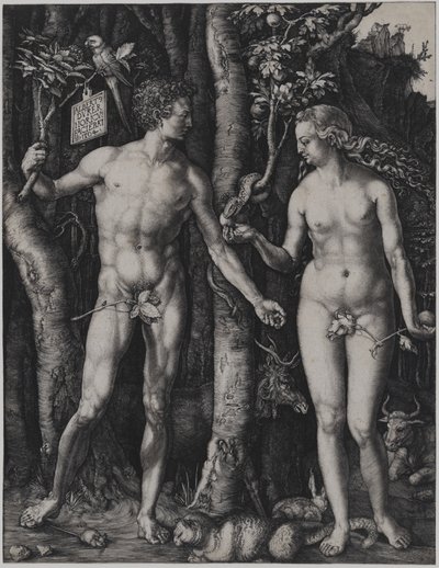  av Albrecht Dürer