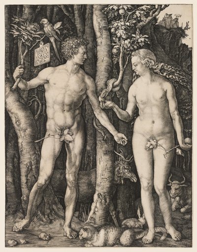  av Albrecht Dürer