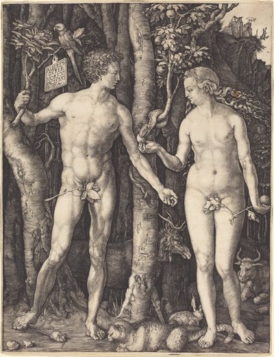  av Albrecht Dürer