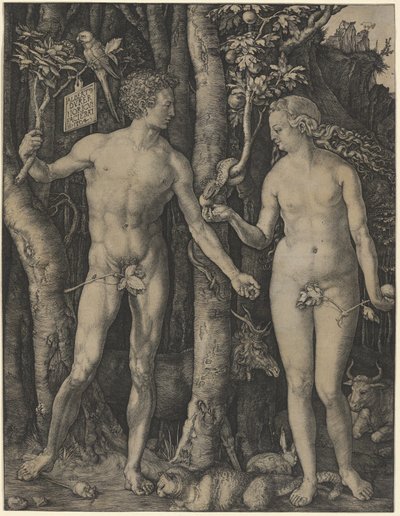  av Albrecht Dürer