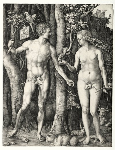 Adam och Eva, 1504. av Albrecht Dürer