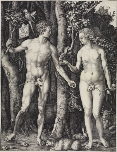  av Albrecht Dürer
