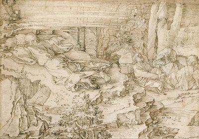 Plåga i trädgården av Albrecht Dürer