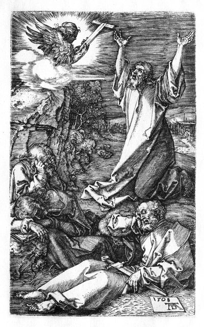 Kval i trädgården av Albrecht Dürer