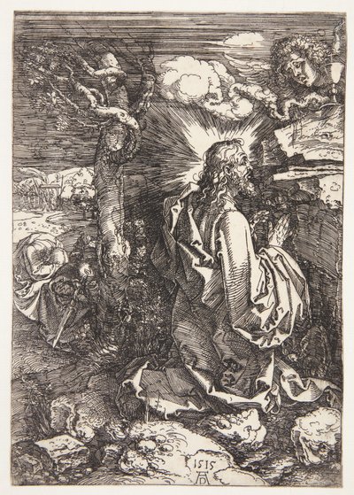 Kval i trädgården av Albrecht Dürer