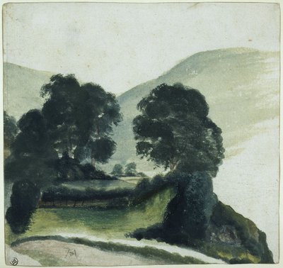 Trädgrupp med väg i bergen av Albrecht Dürer