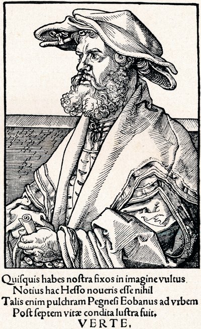 Eobanus Hesse, 1527 1906 av Albrecht Dürer