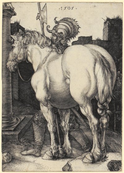 Stor häst av Albrecht Dürer