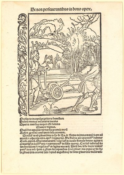 Att förkasta goda råd av Albrecht Dürer