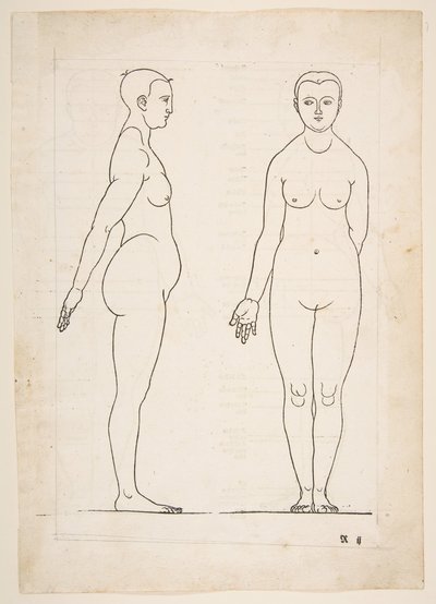 IIllustration från Dürers Four Books of Human Proportion, Nürnberg, 1528.n.d. av Albrecht Dürer