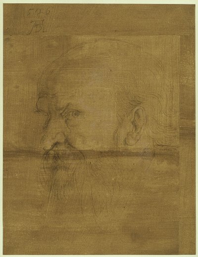 Aposteln Paulus huvud av Albrecht Dürer