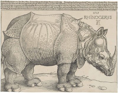 Latin:  Rhinocerus Noshörningen av Albrecht Dürer