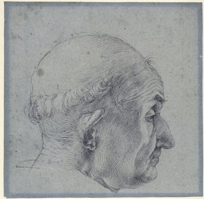 Manligt huvud i profil av Albrecht Dürer