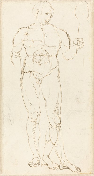 Naken man håller en spegel [recto] av Albrecht Dürer