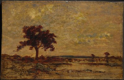 Marshlands av Albrecht Dürer