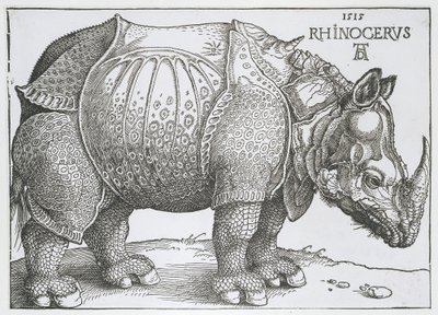 Neushoorn Noshörning (titel på objekt) av Albrecht Dürer