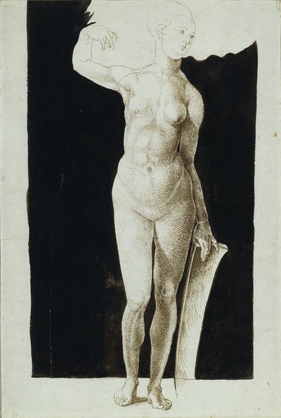 Proportionstudie av kvinnlig naken med en sköld, 1500 av Albrecht Dürer