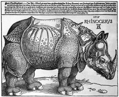 Noshörning, tryck ges till Maximilian I av kungen av Lissabon, 1515, 1936 av Albrecht Dürer